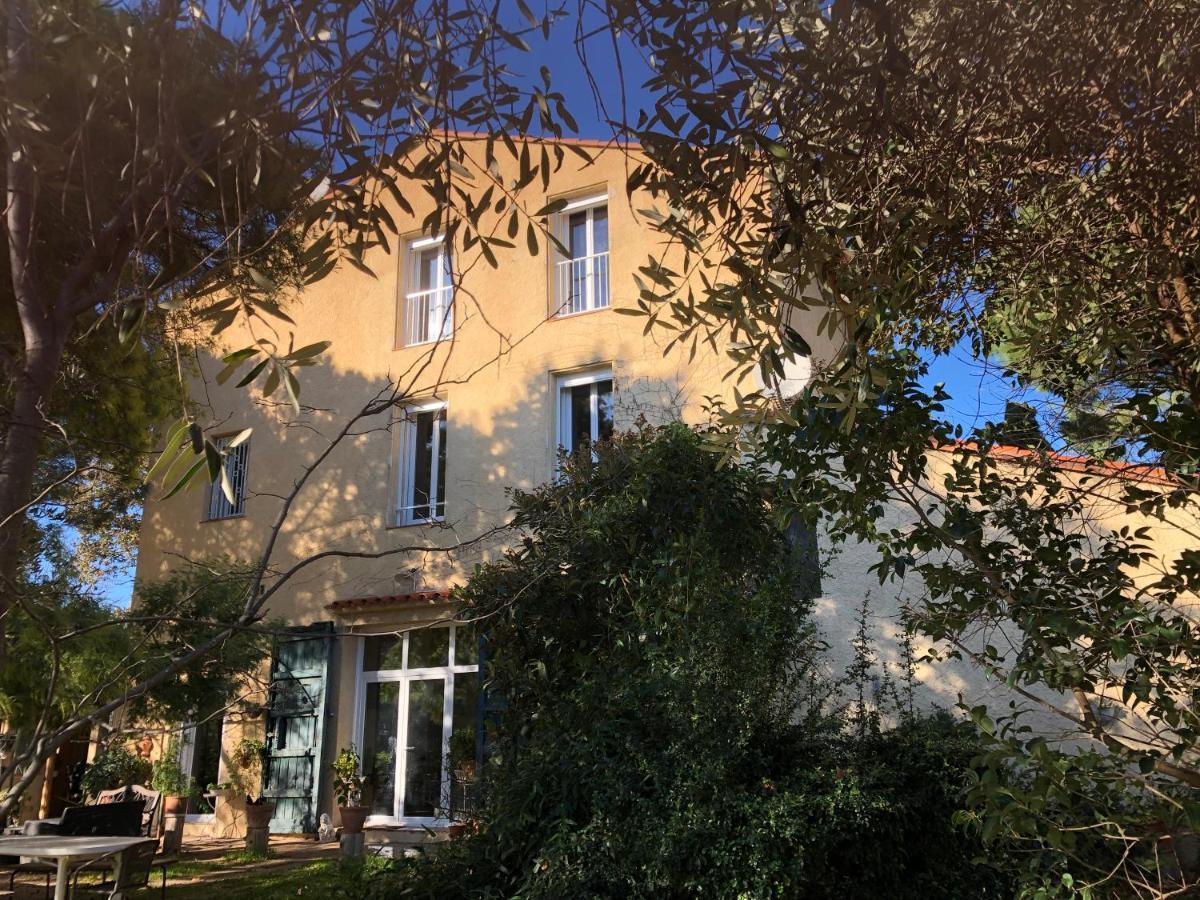 Duplex 130M2 Dans Un Mas Entoure De Vergers - Piscine Saint-Feliu-d'Avall Exterior foto